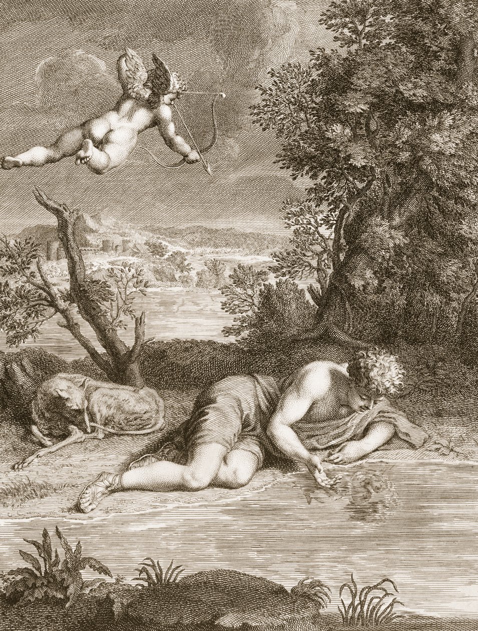 Narcissus förvandlad till en blomma, 1730 av Bernard Picart