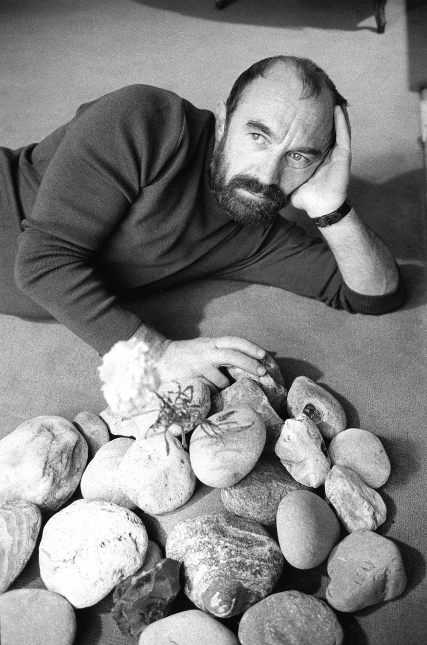 Bernard PARMEGIANI av Bernard Perrine