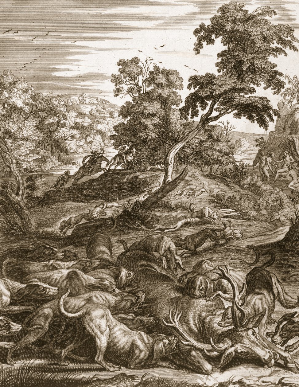 Actaeon förvandlades till en hjort och slukade av sina hundar, 1731 av Bernard Picart