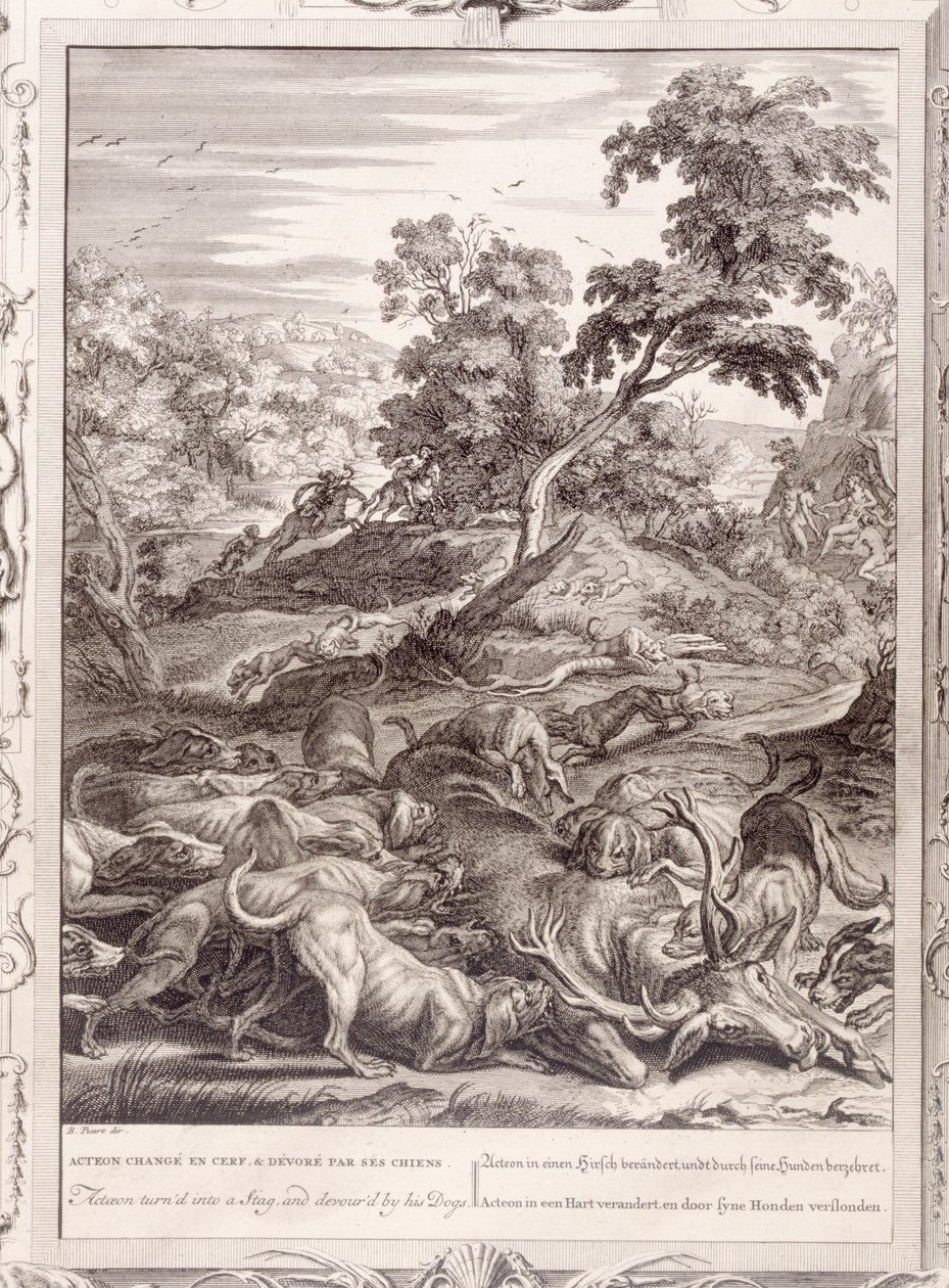Actaeon förvandlades till en hjort och slukade av sina hundar, 1731 av Bernard Picart