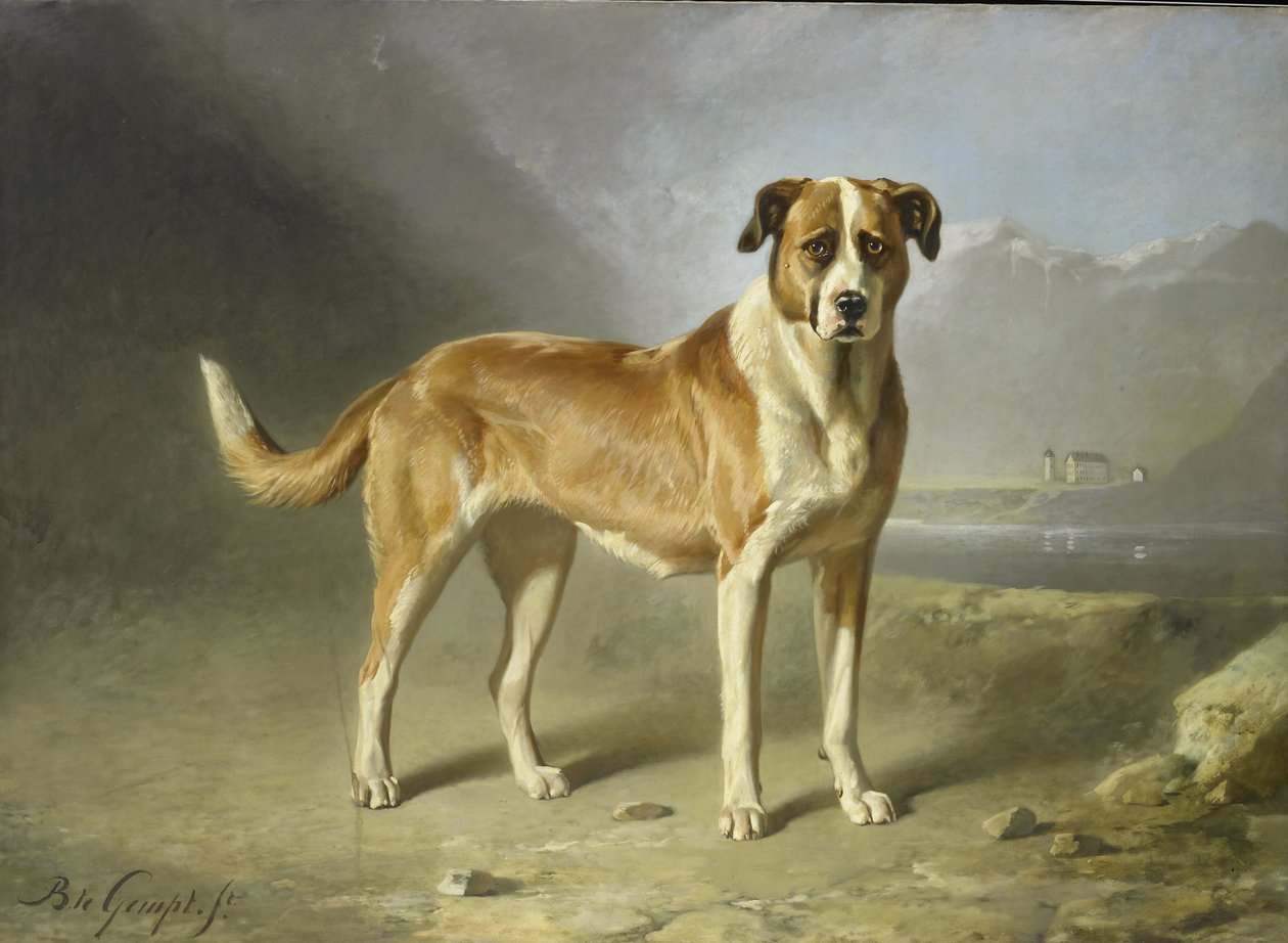 En St Bernard Dog av Bernard te Gempt