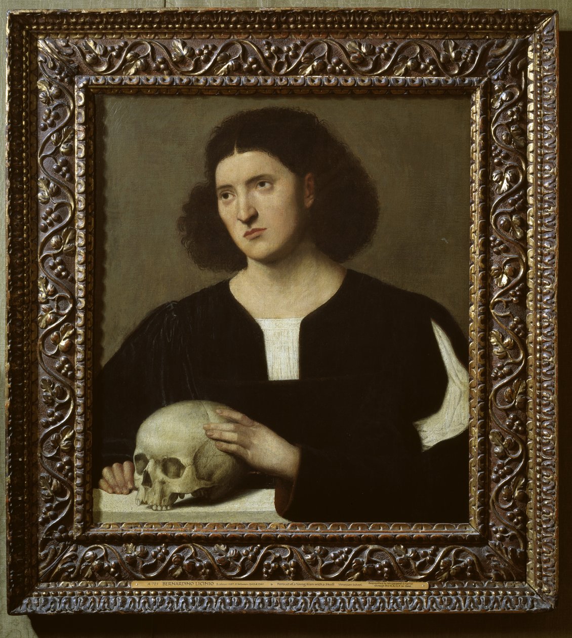 Porträtt av en ung man med en skalle, 1600-talsolja på duk) av Bernardino Licinio