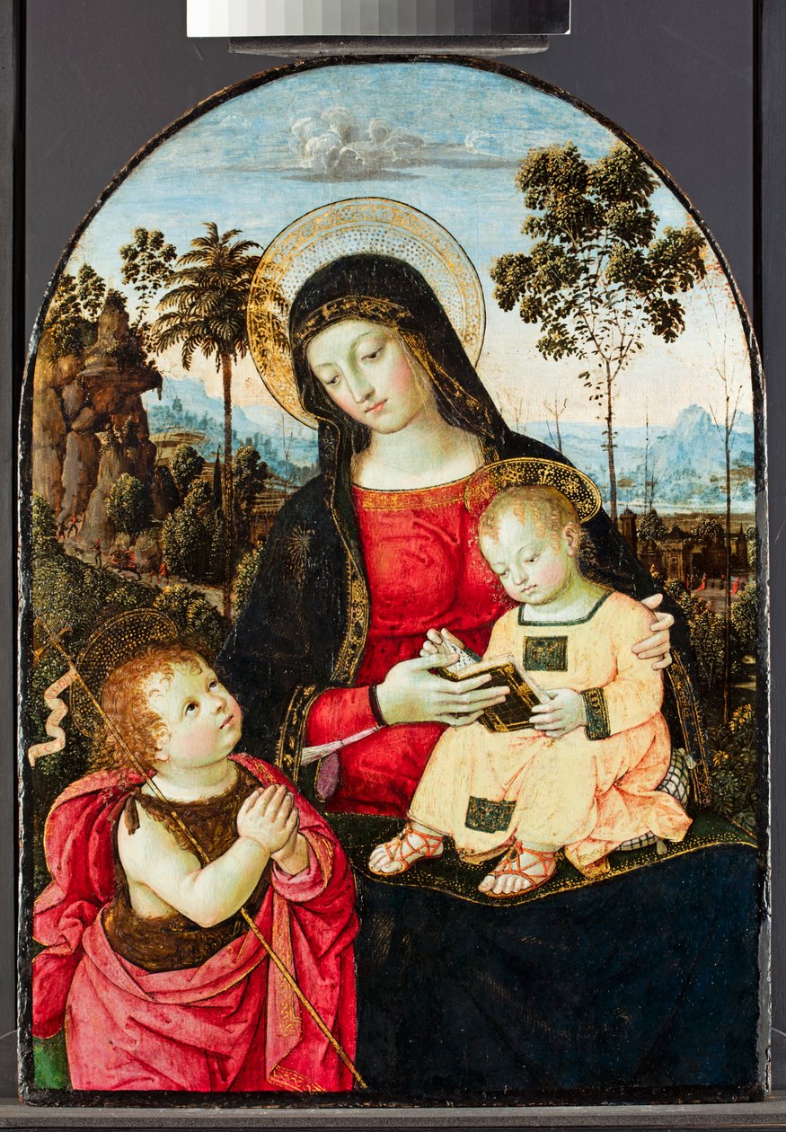 Jungfru och barn med Johannes Döparen, 1490-95 (tempera med olja och glasyrer och guld på panel) av Bernardino di Betto Pinturicchio