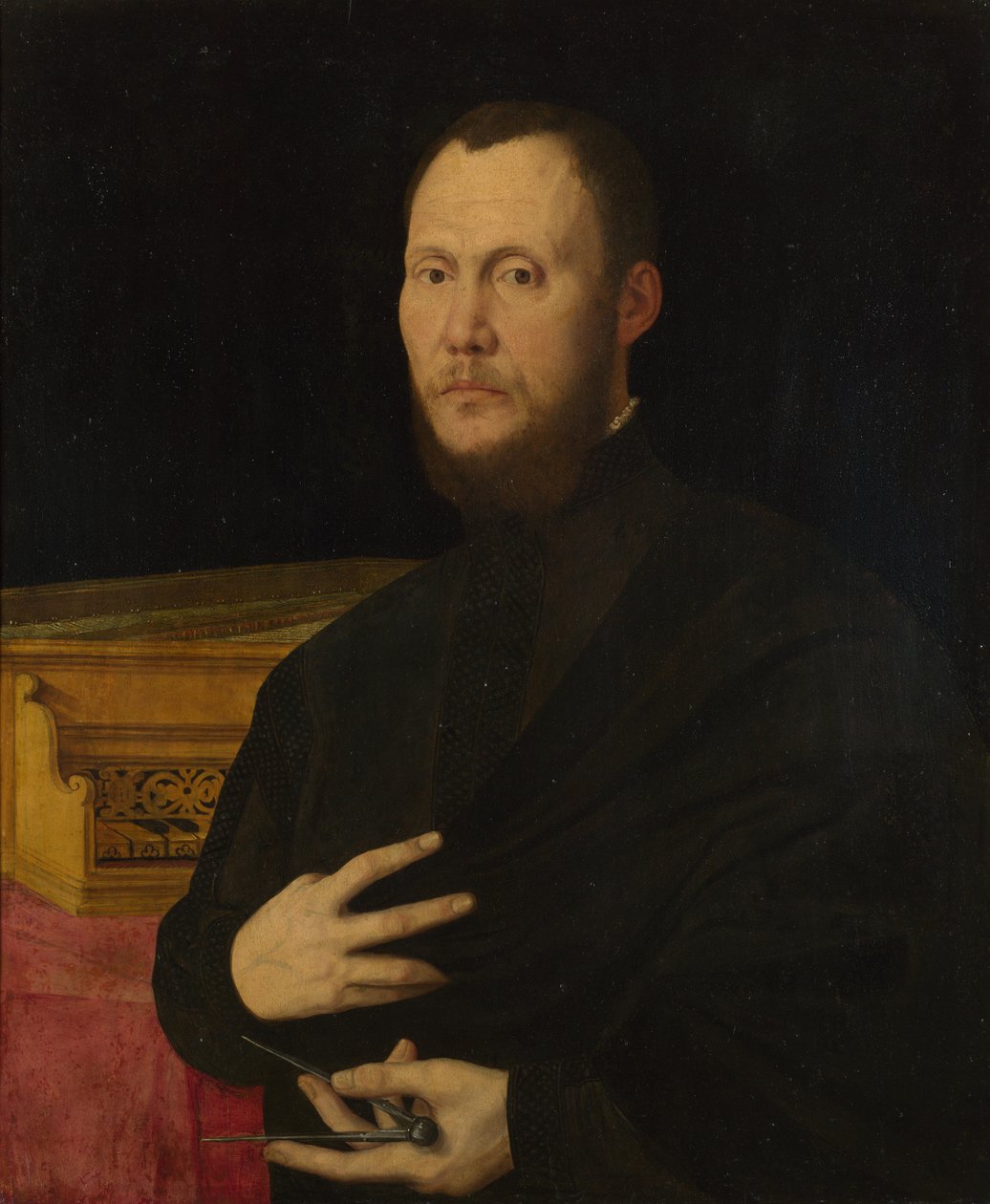 Porträtt av en musiker, ca. 1565 av Bernardino Campi