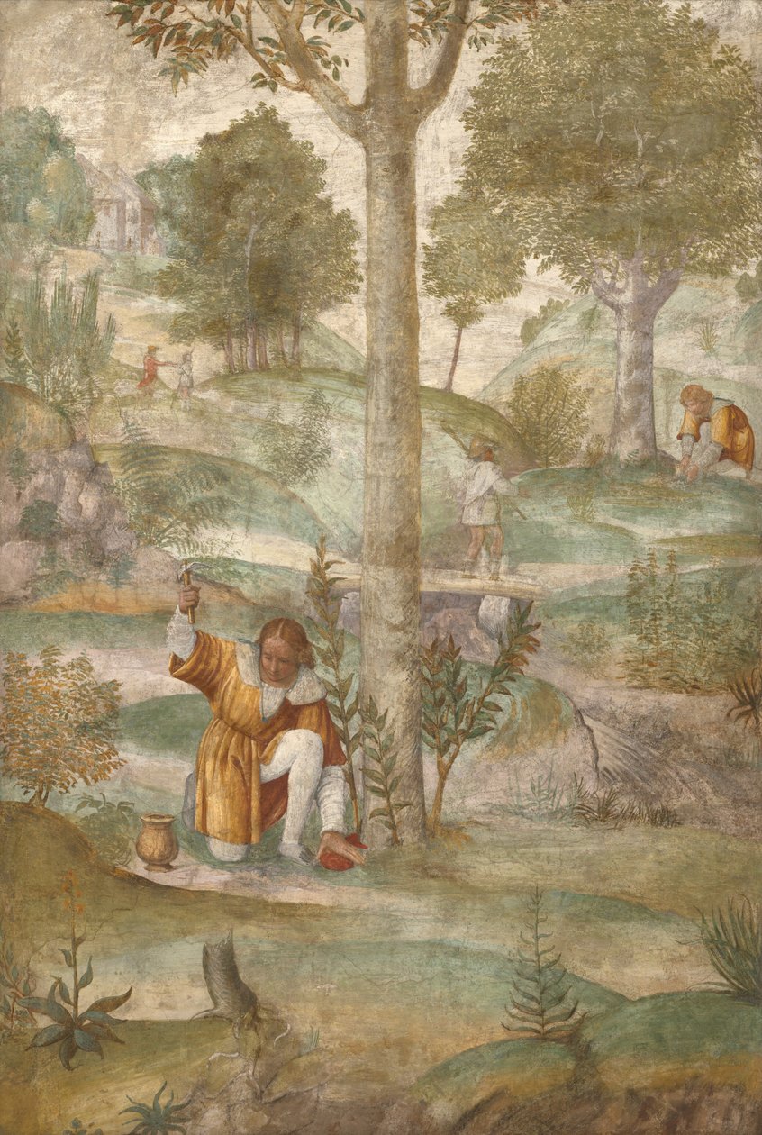 Kefalos gömmer juvelerna av Bernardino Luini