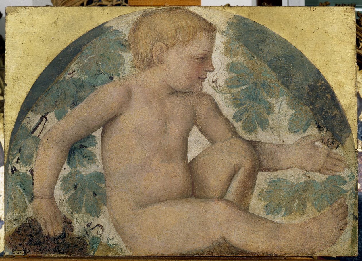Skörda putti - Putto under en pergola, ca 1514 (fristående fresk ombord) av Bernardino Luini