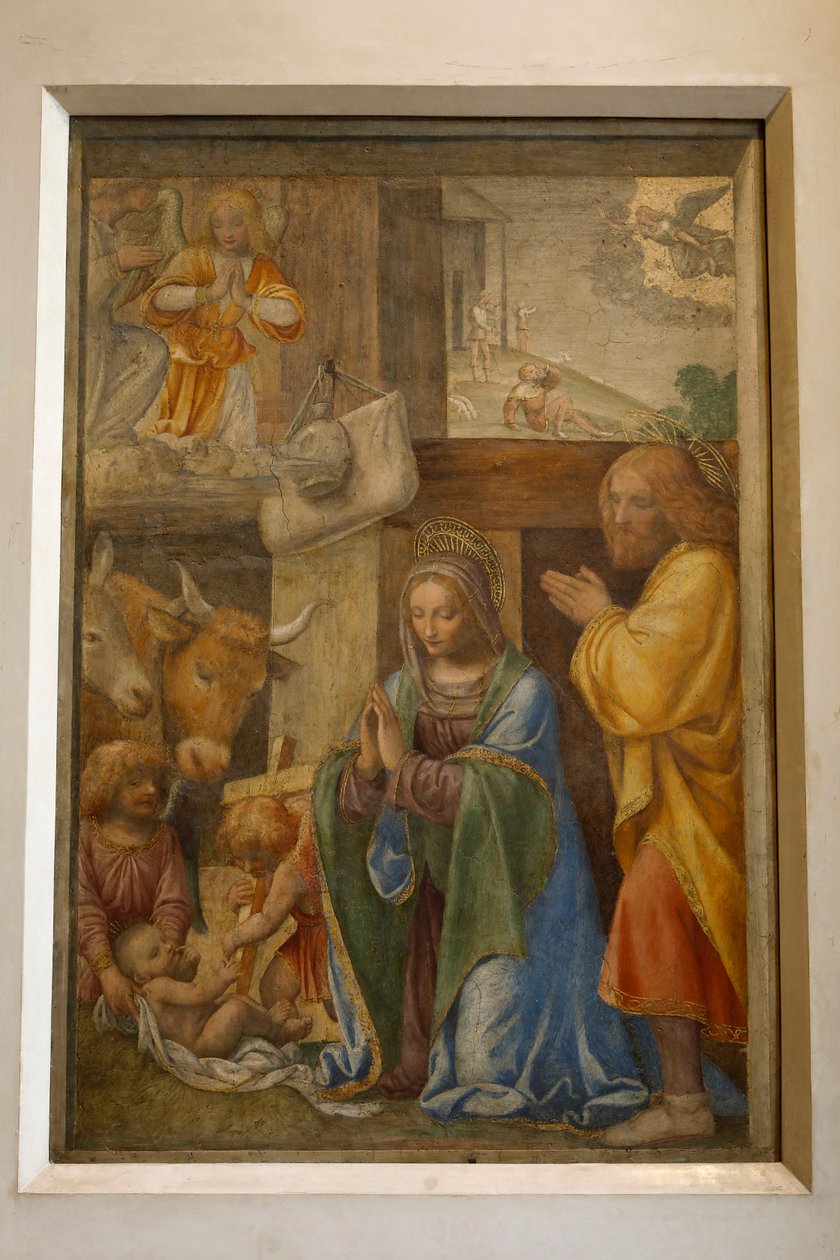 Herdarnas födelse och tillbedjan, ca. 1520-1525 (olja på panel) av Bernardino Luini
