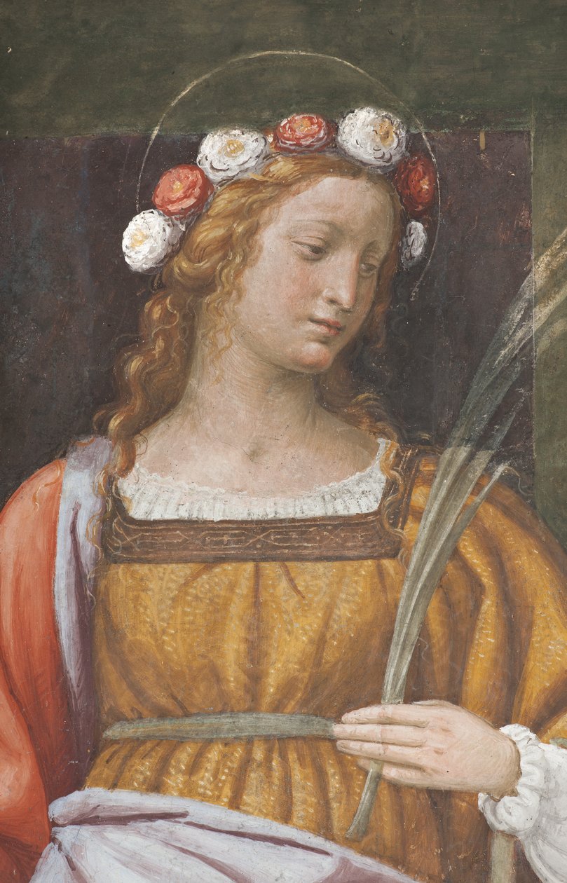 Saint Rose (uppgift om 3497195) av Bernardino Luini