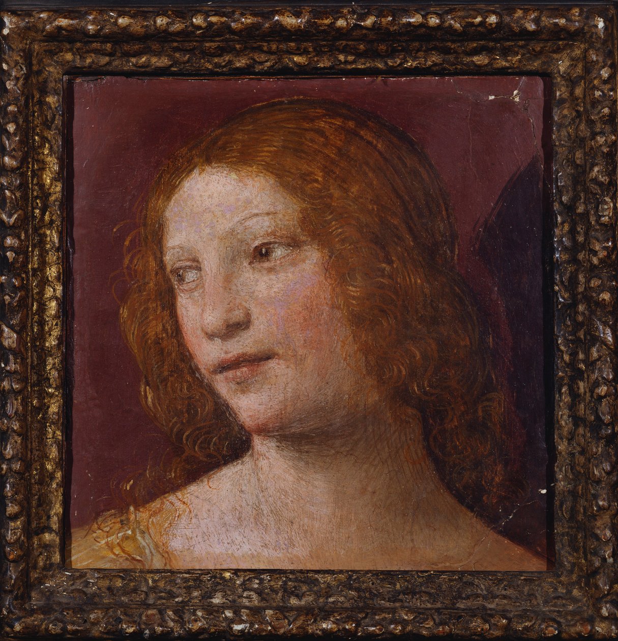 The Head of an Angel - ett fragment av Bernardino Luini