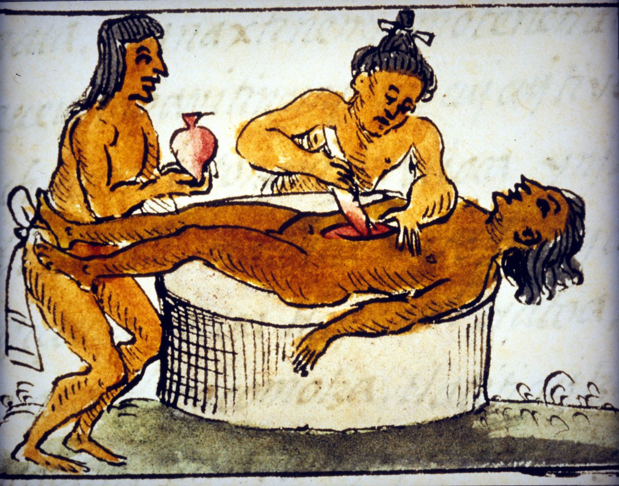 Människooffer: rituella offer bland aztekerna. Från ett manuskript av Bernardino de Sahagun av Bernardino de Sahagun