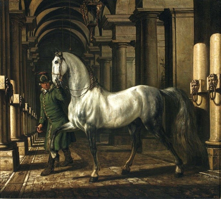 Groom leading a horse av Bernardo Bellotto