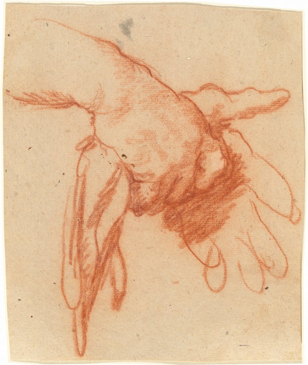 En Hand Som Håller Tomma Handskar av Bernardo Strozzi