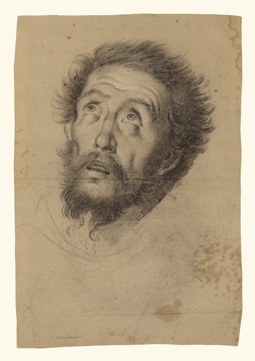 Den helige Franciskus huvud (recto); Studier av den helige Franciskus huvud, en gammal mans huvud och två högerhänder (verso) av Bernardo Strozzi