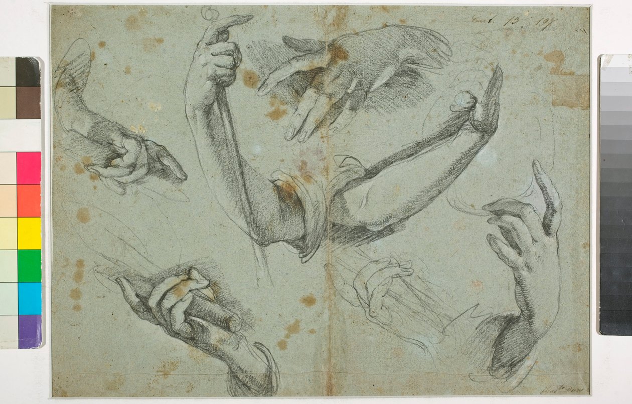 Okänd bild av Bernardo Strozzi