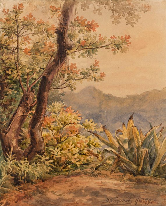 Brasilianische Landschaft mit Agave av Bernhard Wiegandt
