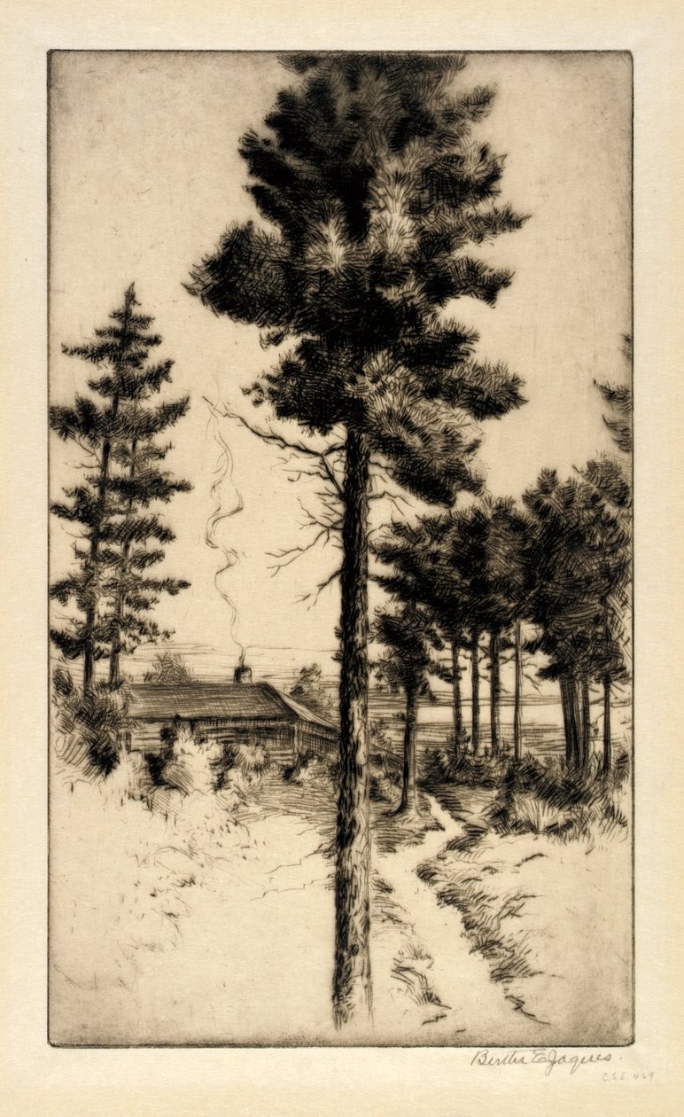 Stuga i vildmarken av Bertha E. Jaques