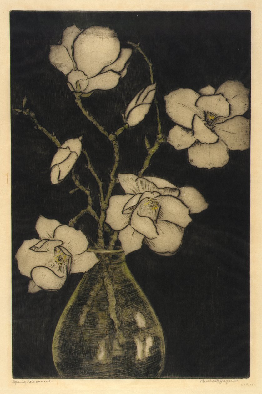Vårblommor (trädmagnolia) av Bertha E. Jaques