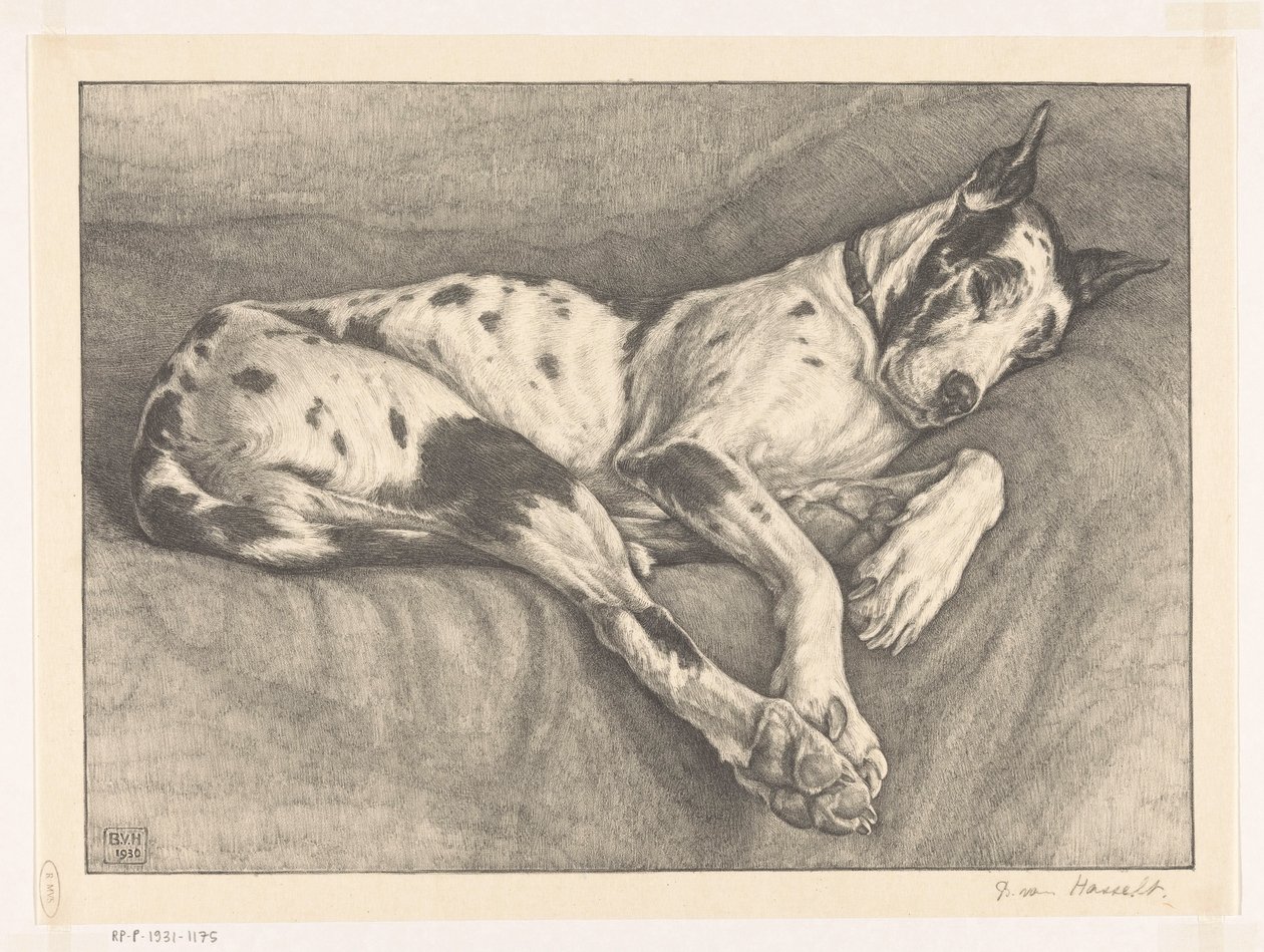 sovande hund av Bertha van Hasselt (signed by artist)