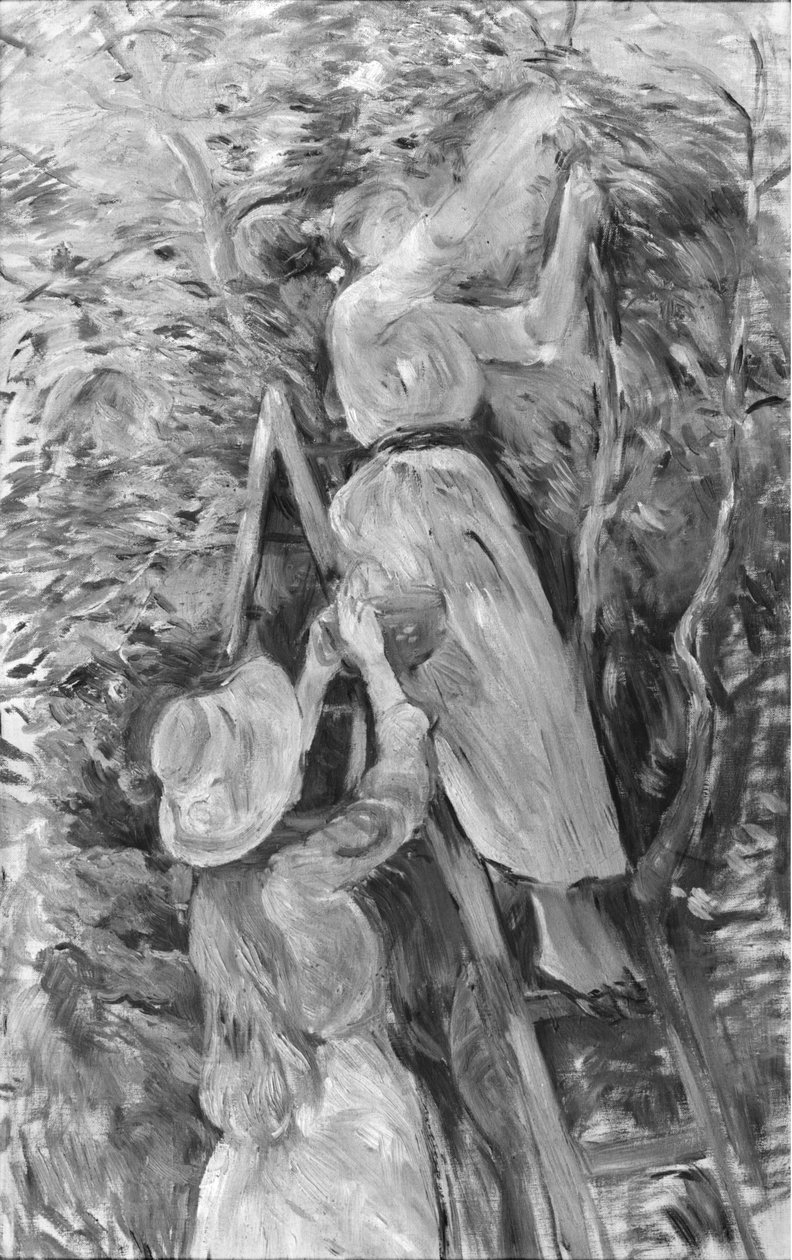 Plocka körsbär, 1891 (se även 18907) av Berthe Morisot