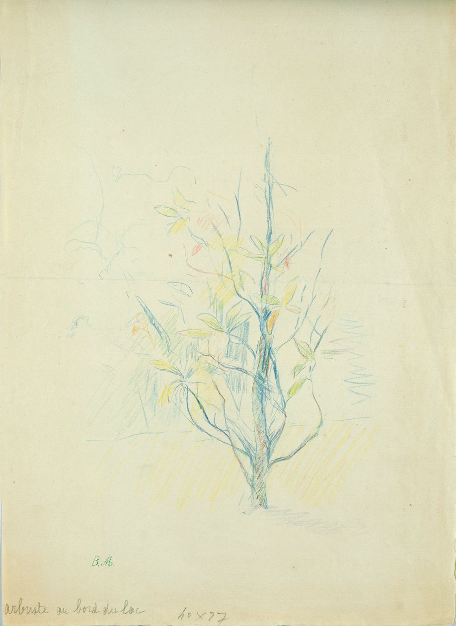 Buskar vid sjön, 1893 (färgpenna på papper) av Berthe Morisot