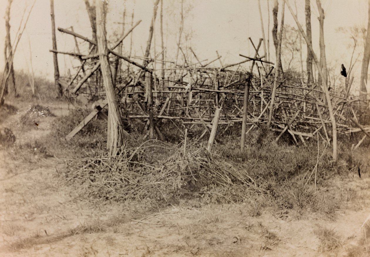 Album av första världskriget i Friuli-Venezia Giulia: defensivt hinder (frisiska hästar), 05/1916 (s/v foto) av Bertoni Bertoni