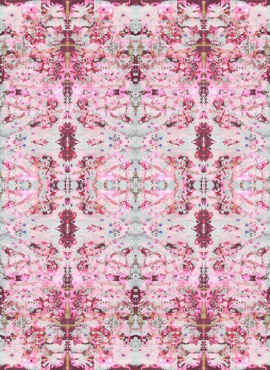 Burgandy Rose, 2015 (blandteknik, illustration, digital) av Beth Travers