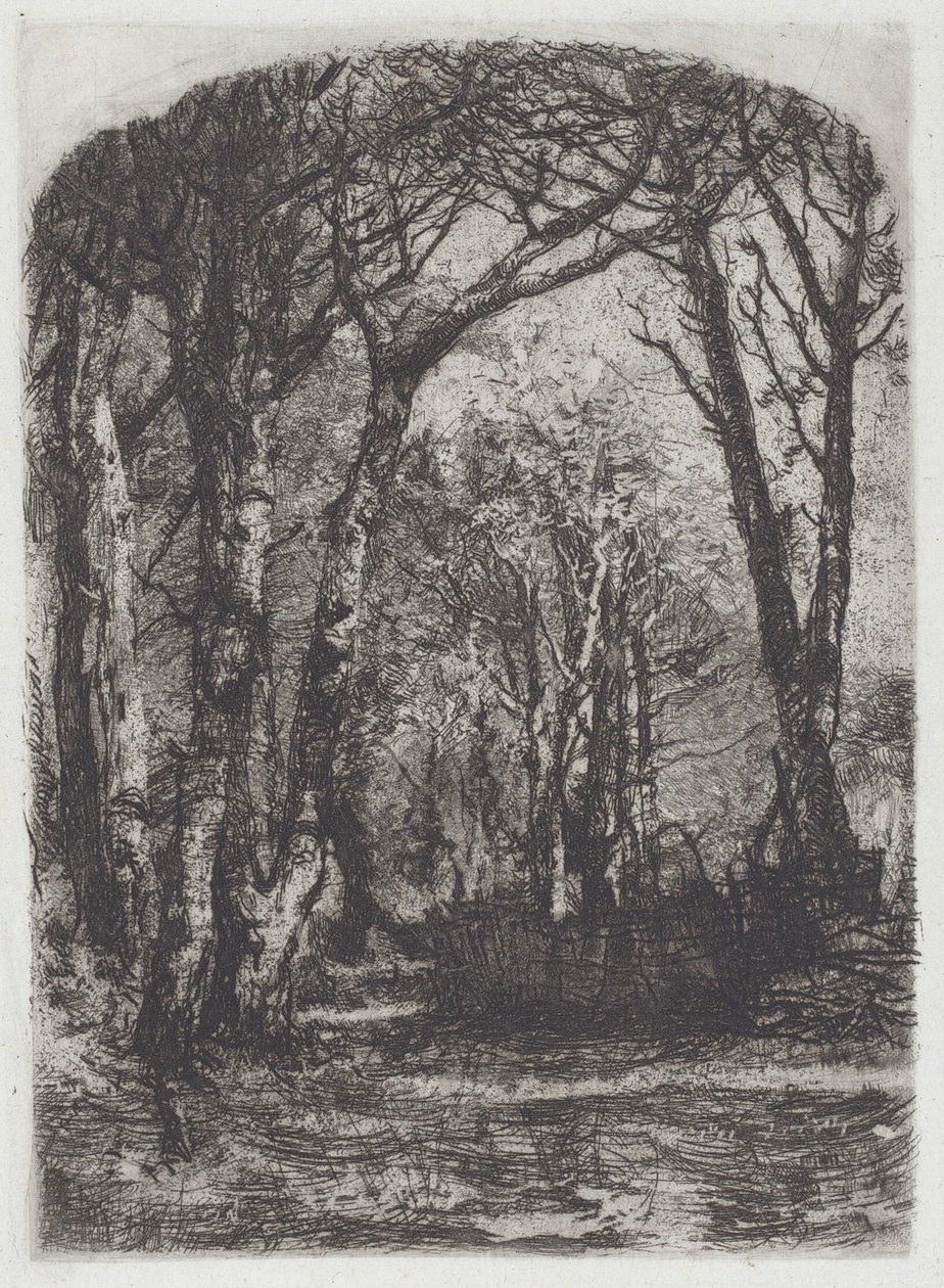 Woods [Bosco], ca 1895. av Bianchi Mose