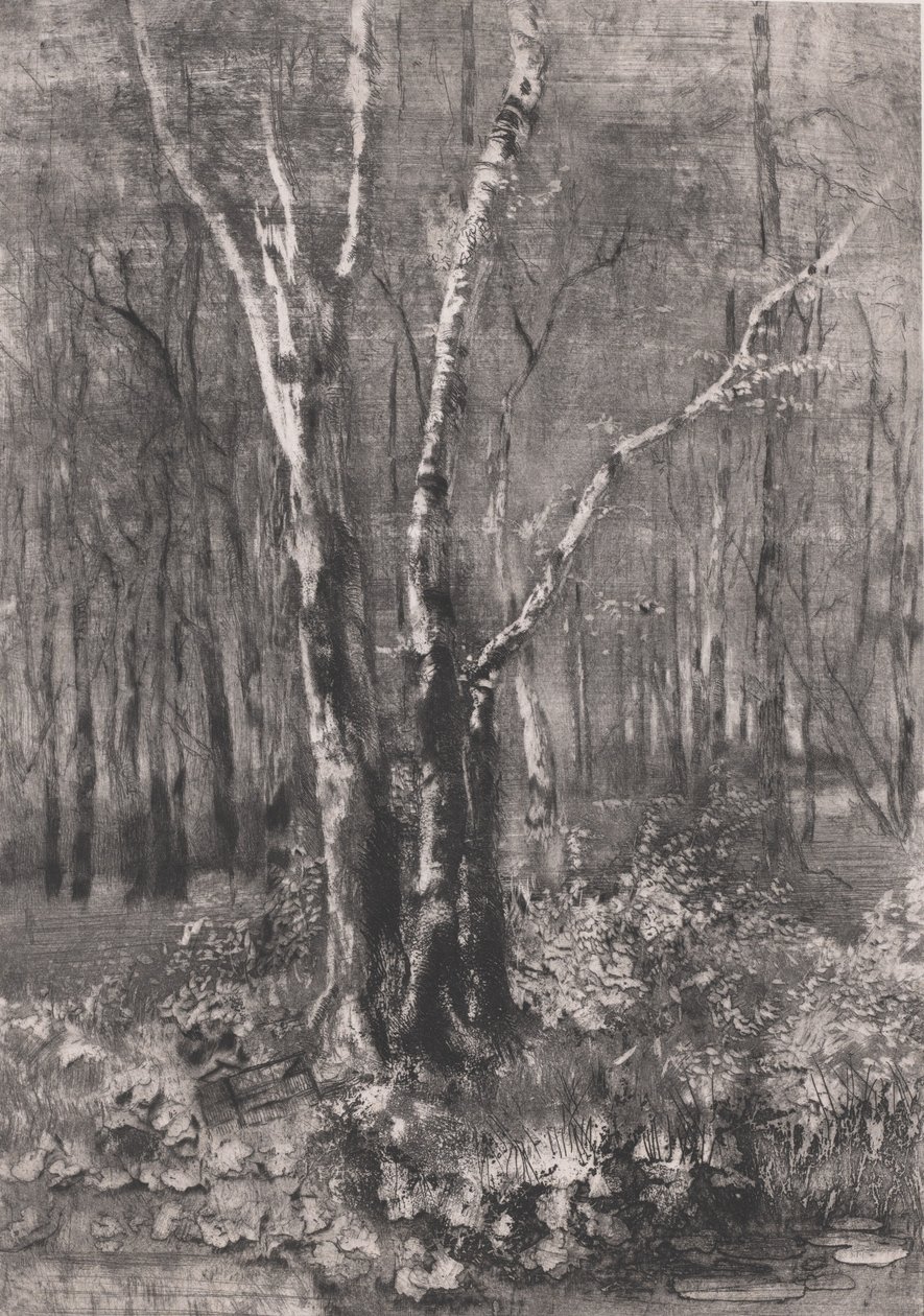 Skogen i parken nära Monza, 1895. av Bianchi Mose