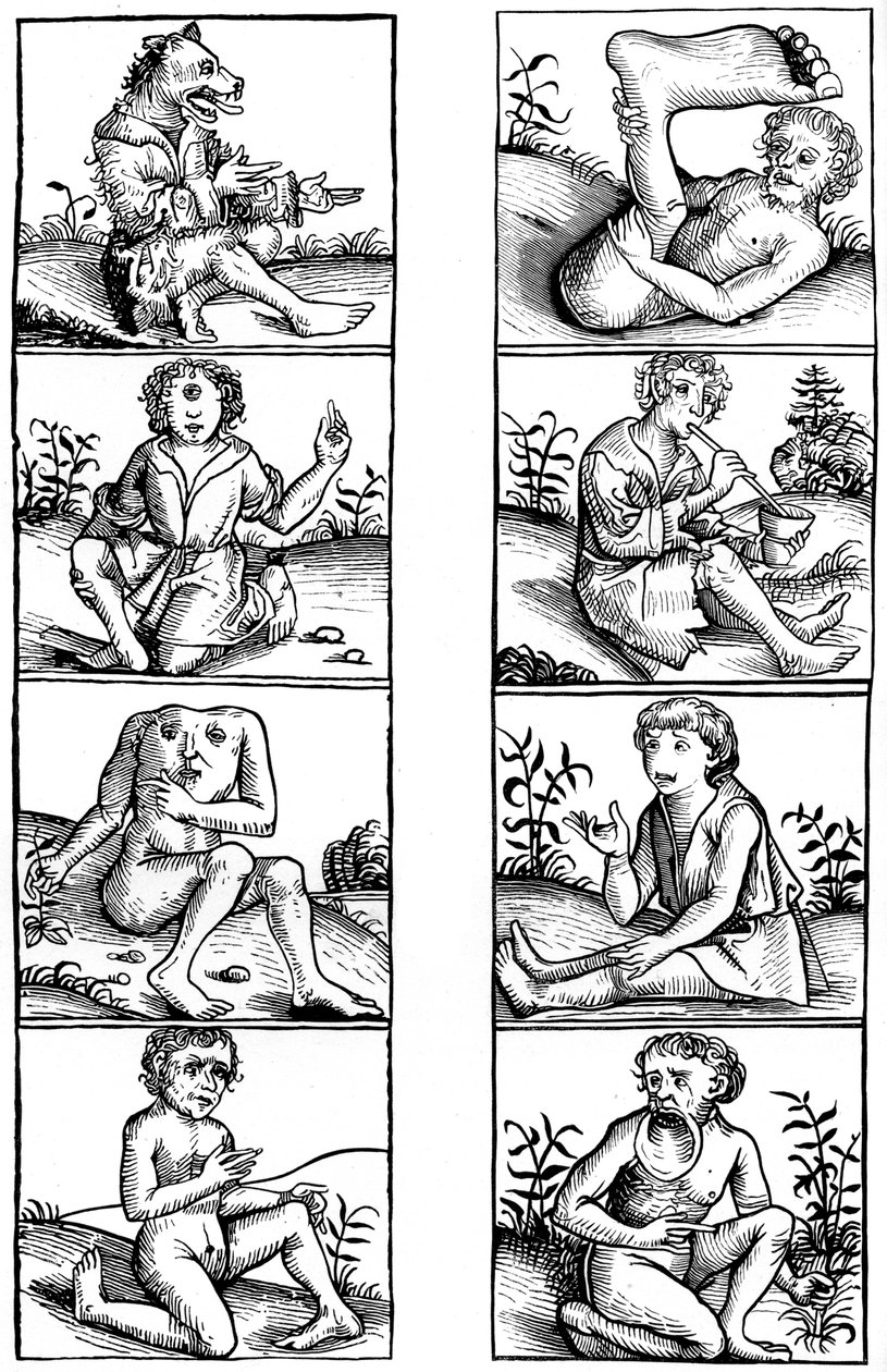 Tro och populär vidskepelse, 1493 1849. av Bisson and Cottard