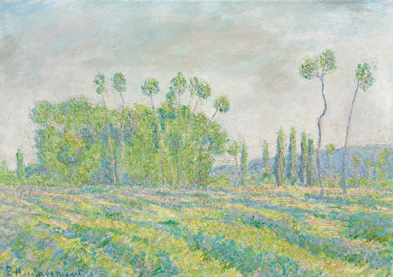 Franska:  Giverny, Peupliers des Ajoux av Blanche Hoschede Monet