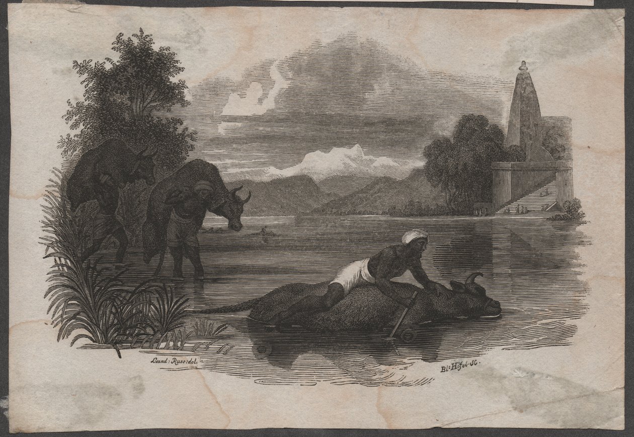 Bönder bär död boskap, ca 1850 (gravyr) av Blasius Höfel