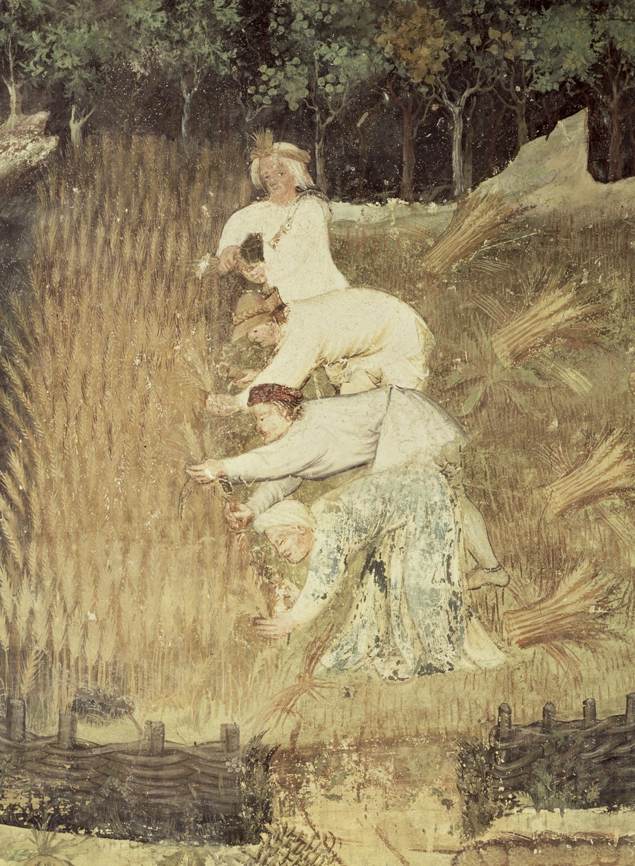 Mwezi wa Agosti, undani wa mavuno, c.1400 swed av Bohemian School