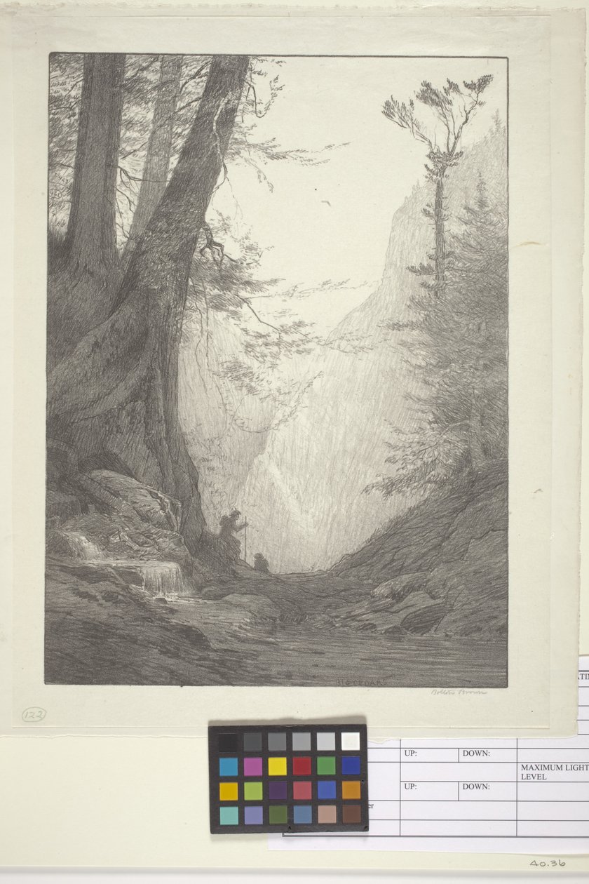 Big Cedars (bläck på papper, litografi) av Bolton Coit Brown