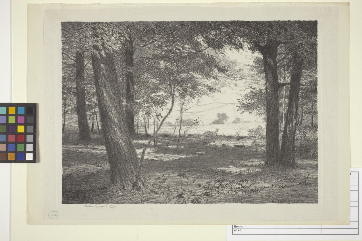 Edge Of The Woods (bläck på papper) av Bolton Coit Brown