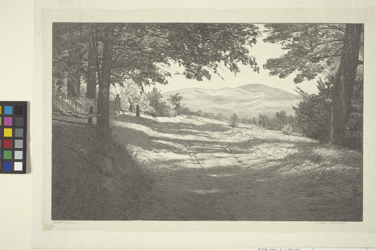 North View (bläck på papper) av Bolton Coit Brown
