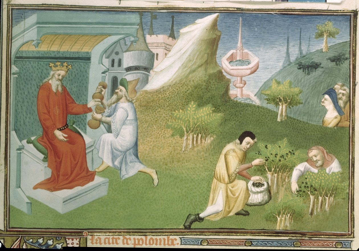 Ms Fr 2810 f.186, Pepparskörd och erbjudande av frukterna till en kung, från "Livre des Merveilles du Monde", ca 1410-12 (tempera på pergament). av Boucicaut Master