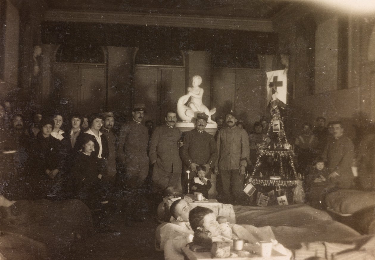 Album av första världskriget i Friuli-Venezia Giulia: gruppporträtt på juldagen på Villa Brazzà, hem till 17 på sjukhuset för krig i Soleschiano Manzano, 25/12/1915 (s/v foto) av Bourbon Del Monte