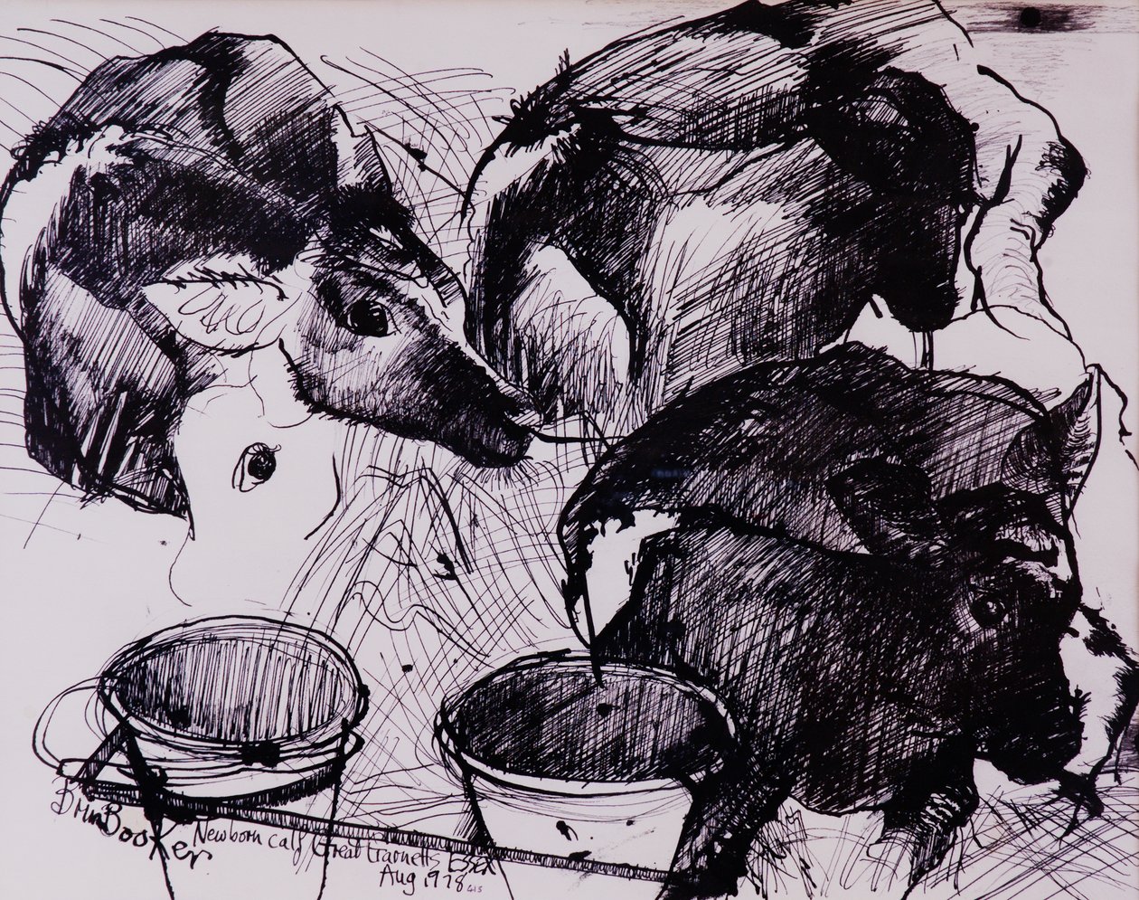 Kalvar, fuktiga, nyfödda, 1978 av Brenda Brin Booker