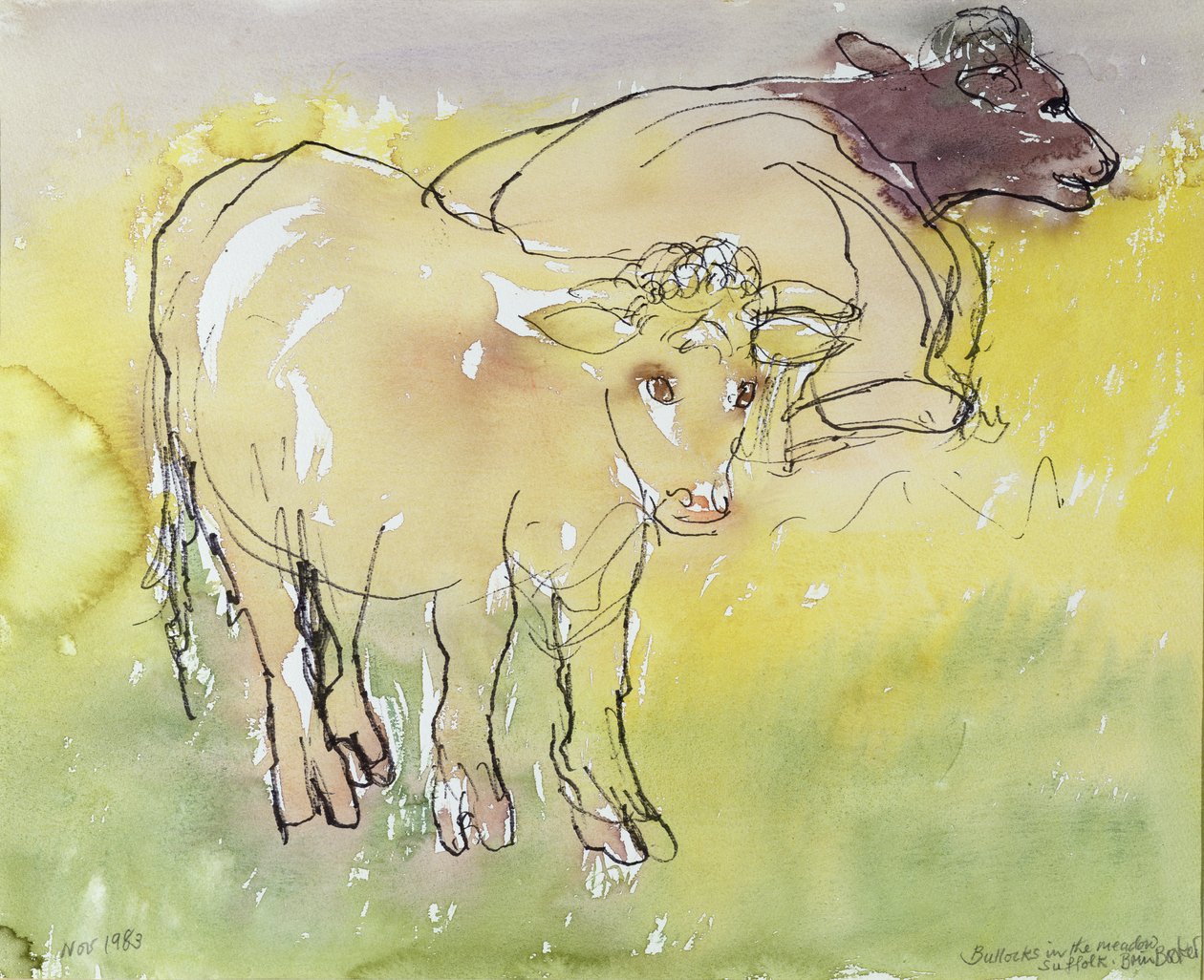 Young Bullocks in the Meadow, 1983 (penna och bläck med wc på papper) av Brenda Brin Booker