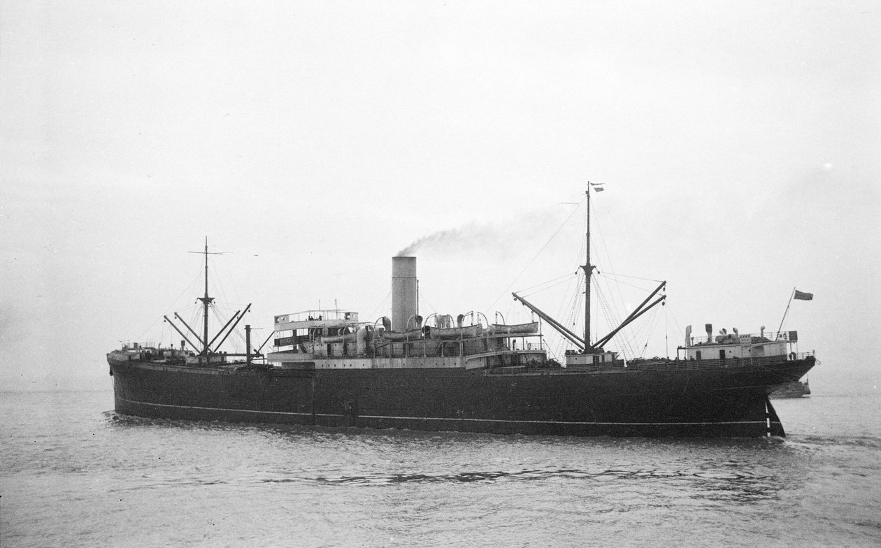 Opawa (1906) pågår utanför Avonmouth av Brigadier L. R. E. Fayle