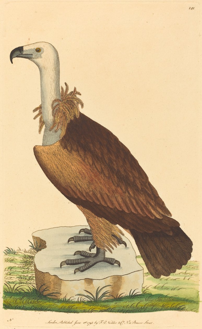 Alpgammen av British 18th Century