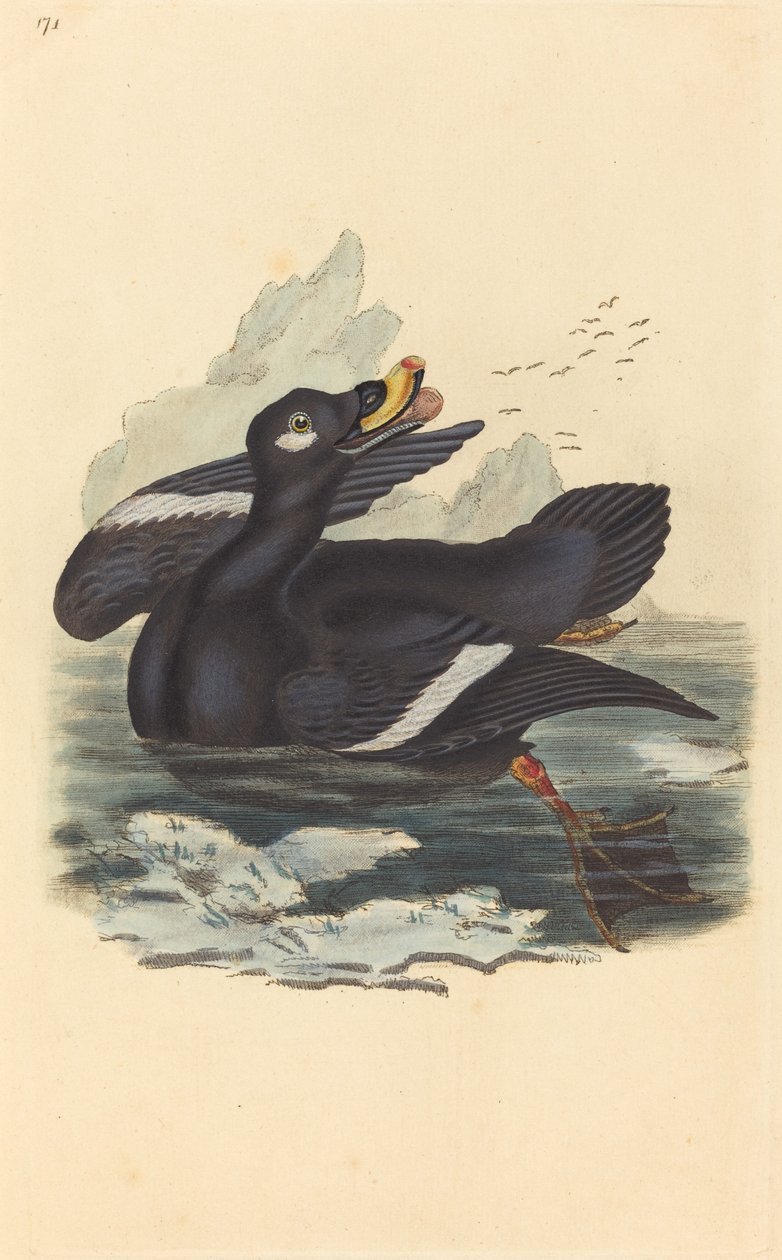 Sammetsanka av British 19th Century