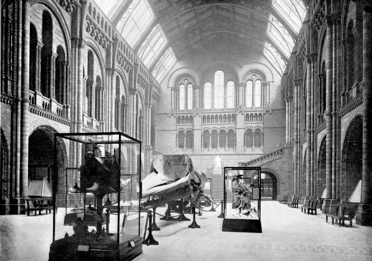 Entréhallen till Natural History Museum, South Kensington, London, 1890 av British Photographer