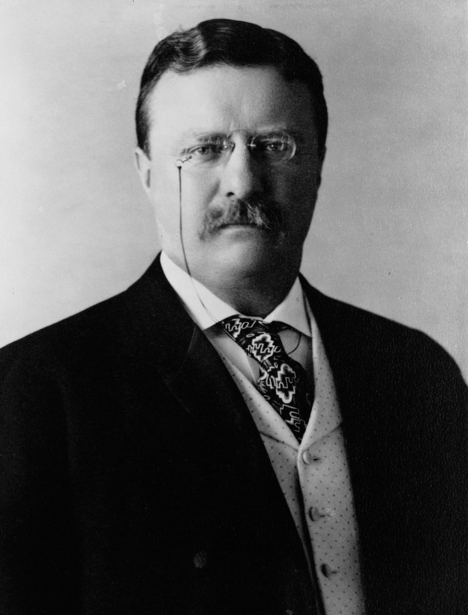 Theodore Roosevelt, ca 1904 (s/v foto) av Brothers Pach