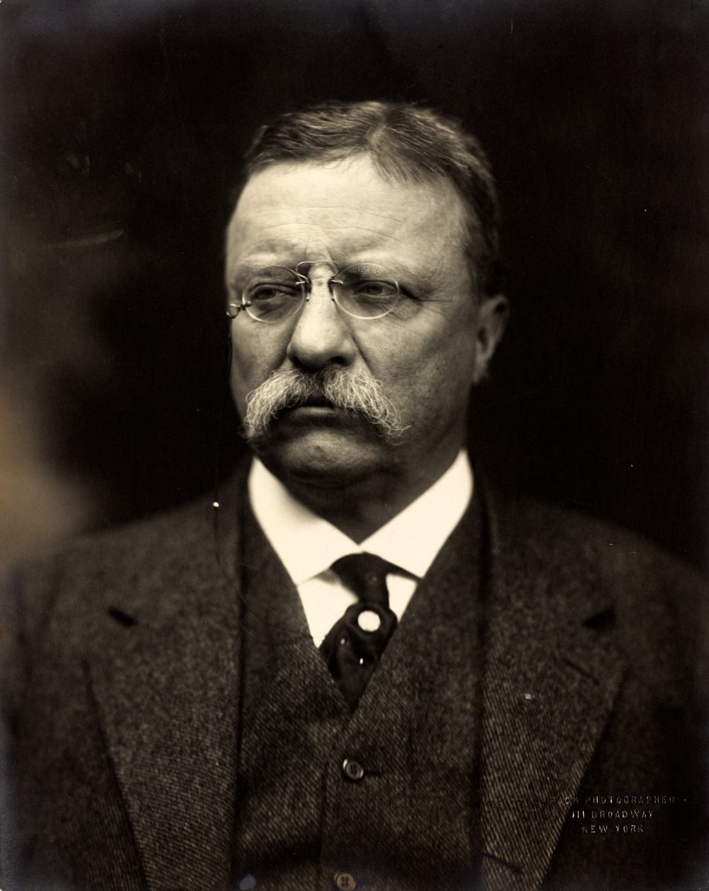 Theodore Roosevelt, ca 1915 (s/v foto) av Brothers Pach
