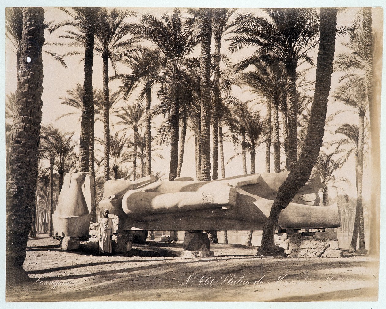 En staty av Memphis ligger i en palmlund i Egypten - fotografi av bröderna Zangali, sent 1800-tal av Brothers Zangaki