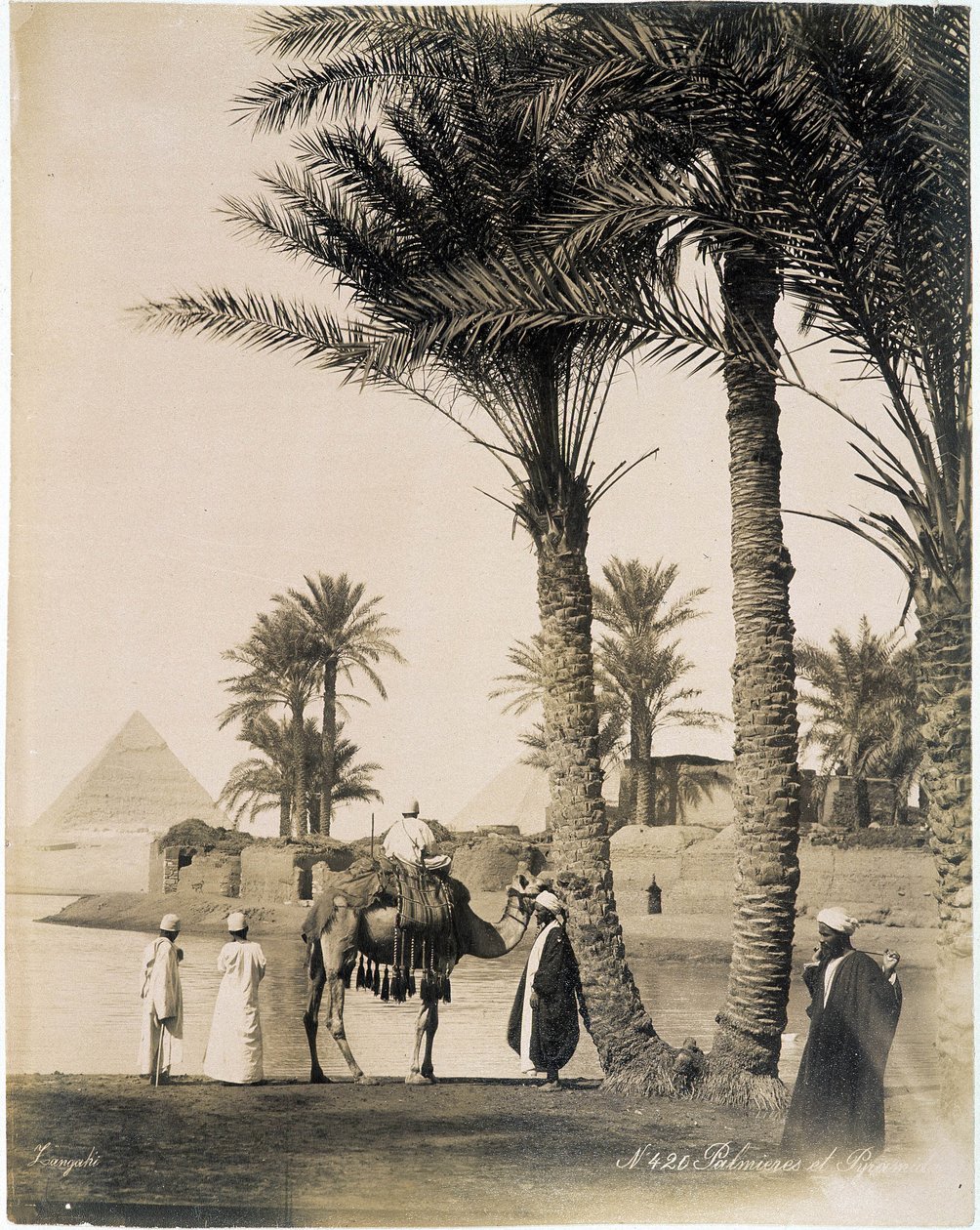 Palmlund vid foten av pyramiderna i Egypten - fotografi av bröderna Zangali, sent 1800-tal av Brothers Zangaki