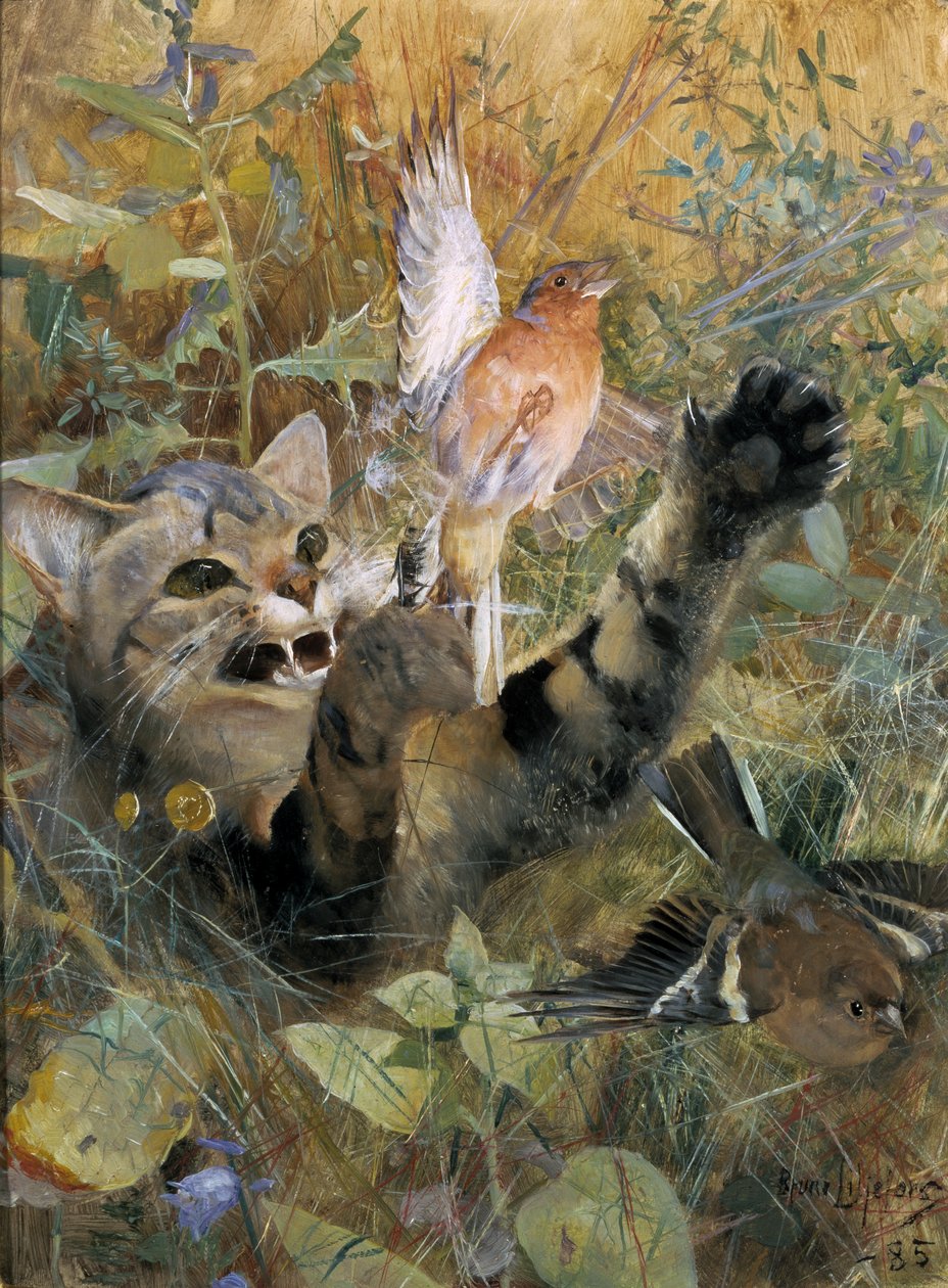 En katt och en bofink, 1885 av Bruno Andreas Liljefors