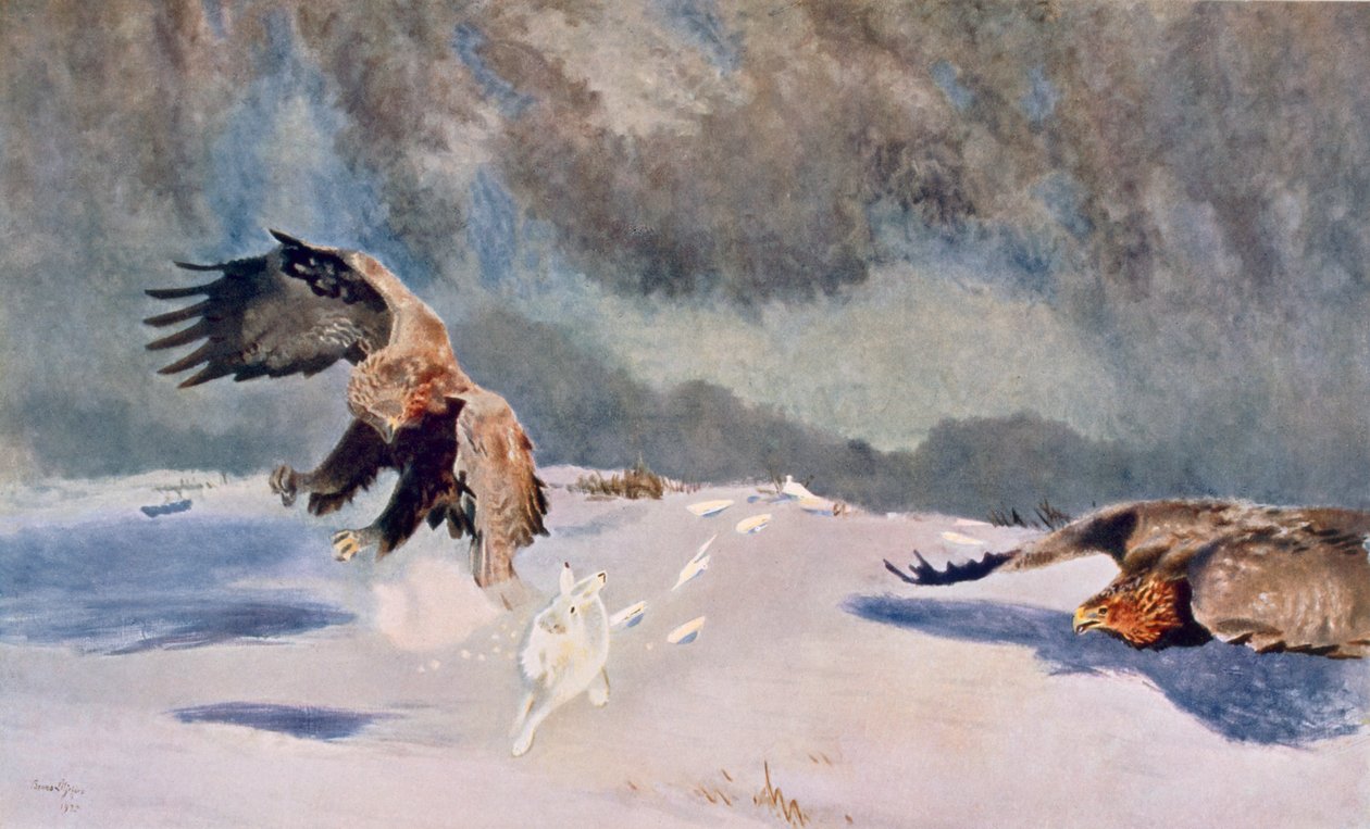 Örnar och kaniner, 1922 av Bruno Andreas Liljefors