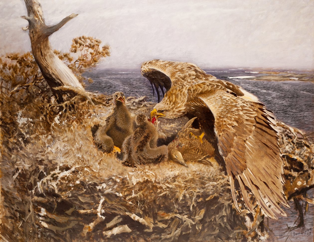 Havsörnens bo, 1907 av Bruno Andreas Liljefors